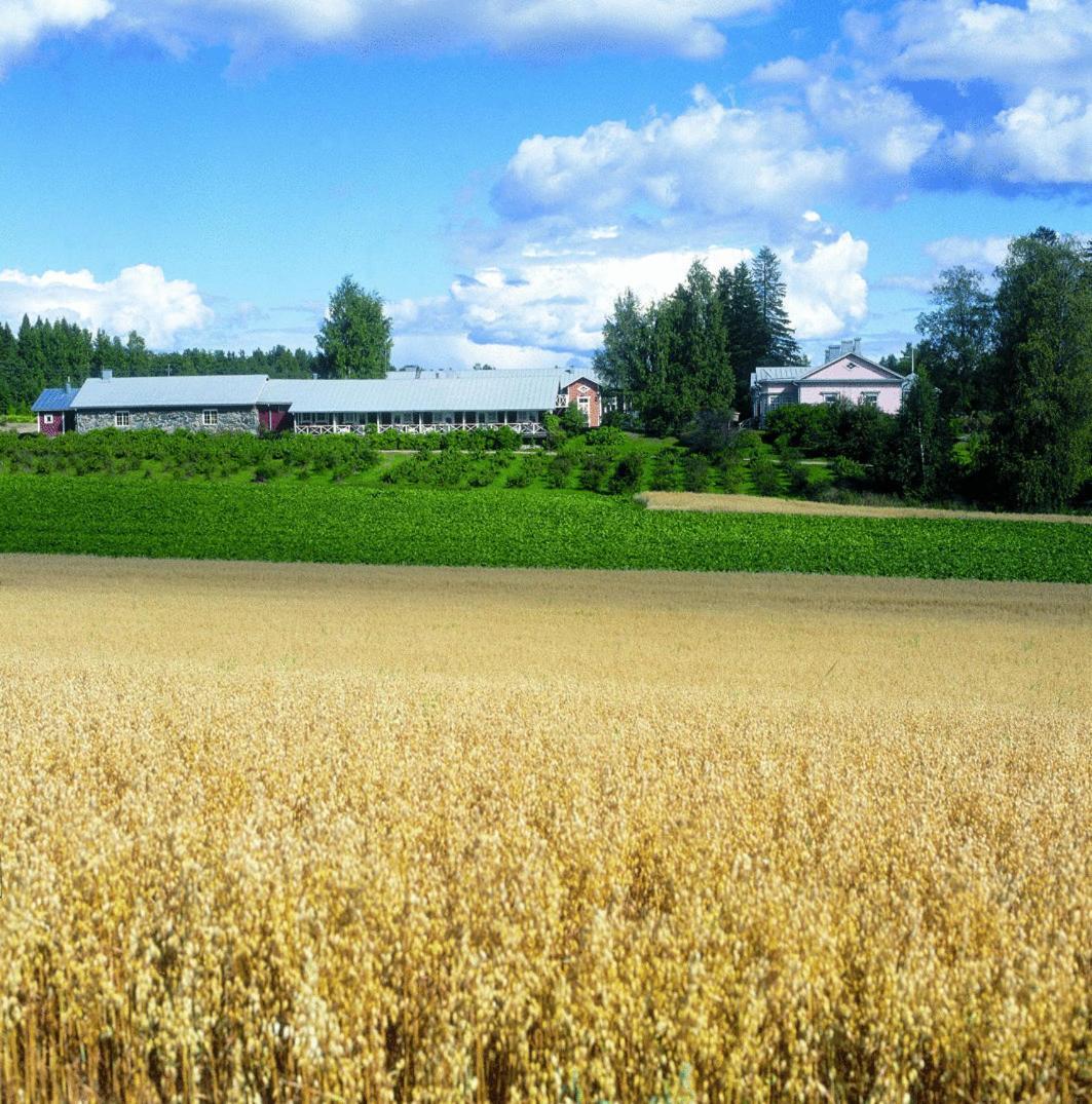 Tertin Kartano Hotel Mikkeli Exterior foto